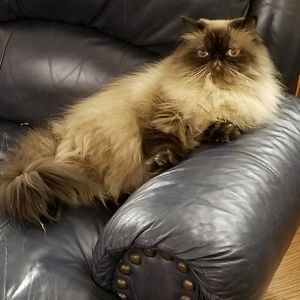 Meet your Posher, Tammy